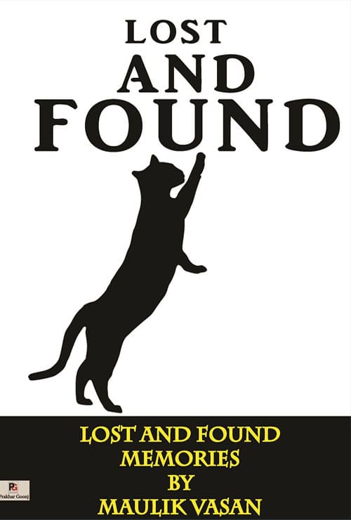Lost and Found Memories (English Version) - Retail Maharaj