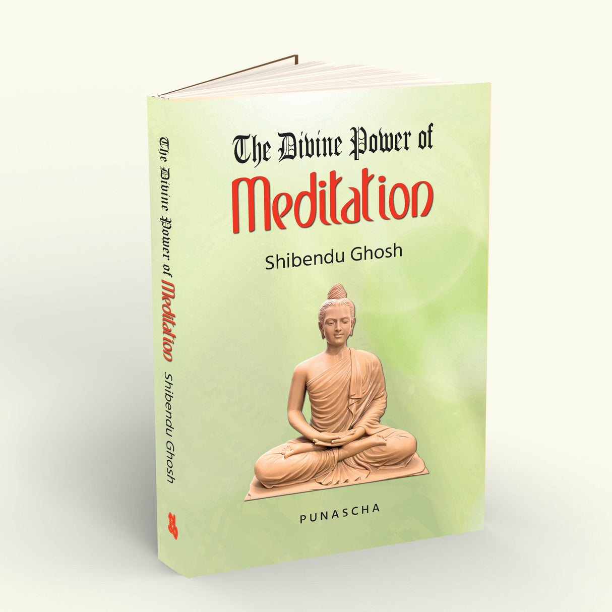 The Divine Power of Meditation - Retail Maharaj