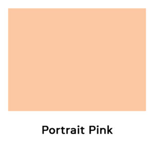 Camel Artist Acrylic Colour 40ml Tube Open Stock Professional Artist Paint - Retail Maharaj