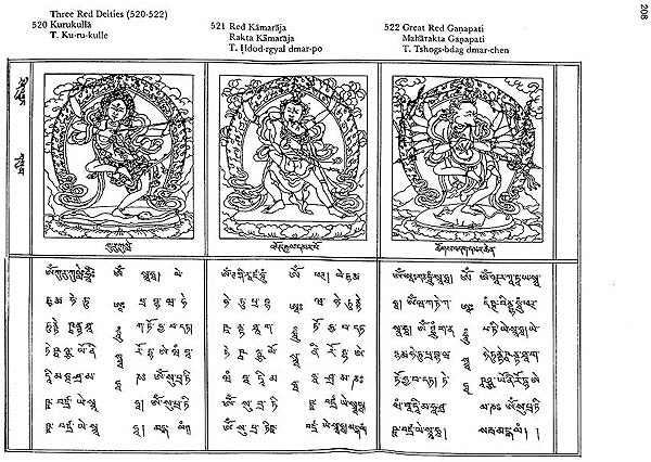 Buddhist Iconography (Compact Edition) - Retail Maharaj