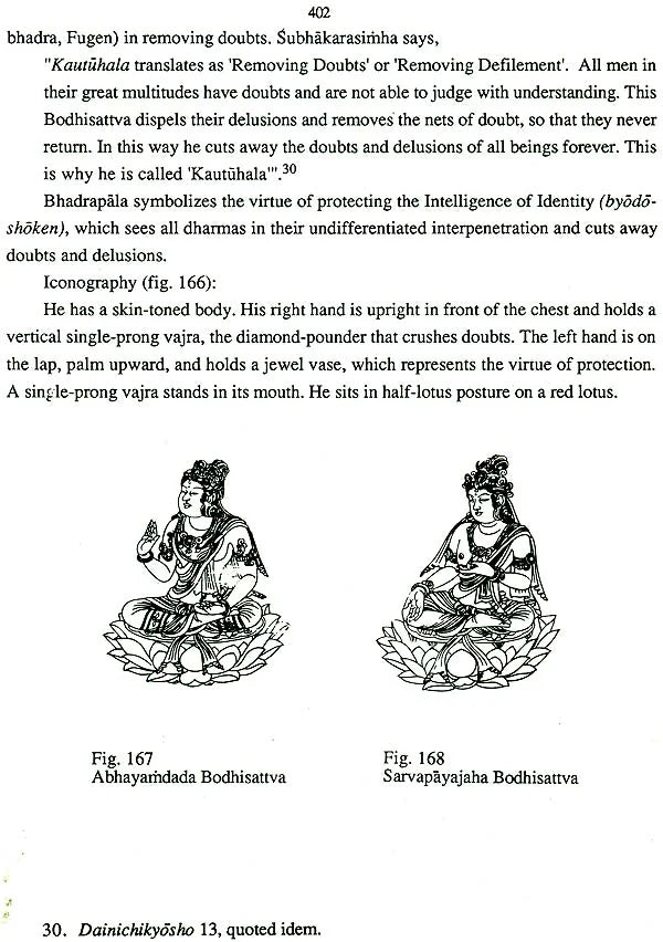 The Matrix and Diamond World Mandalas in Shingon Buddhism - Retail Maharaj