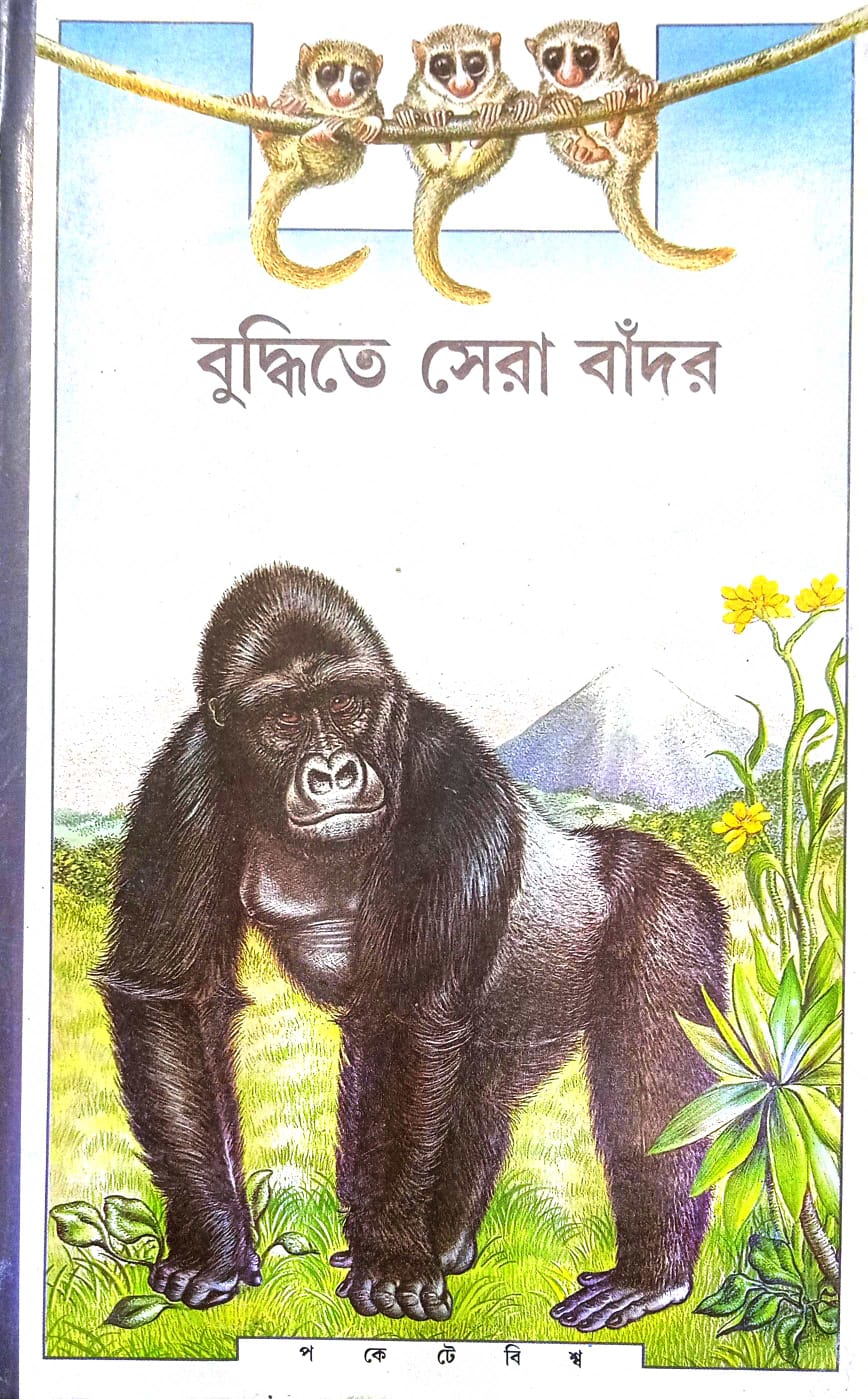Buddhite Sera Bandar - Retail Maharaj