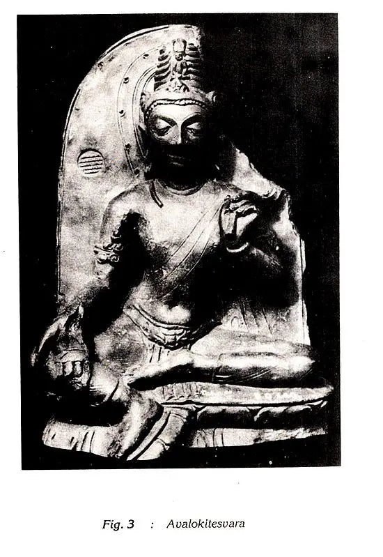 Indian Herbal Medicine in Bengali (Vol- I)