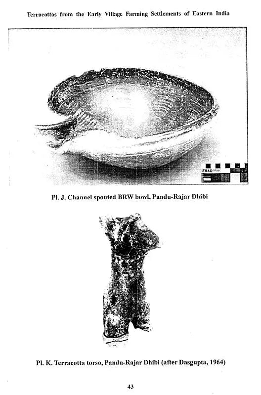 Indian Herbal Medicine in Bengali (Vol- I)
