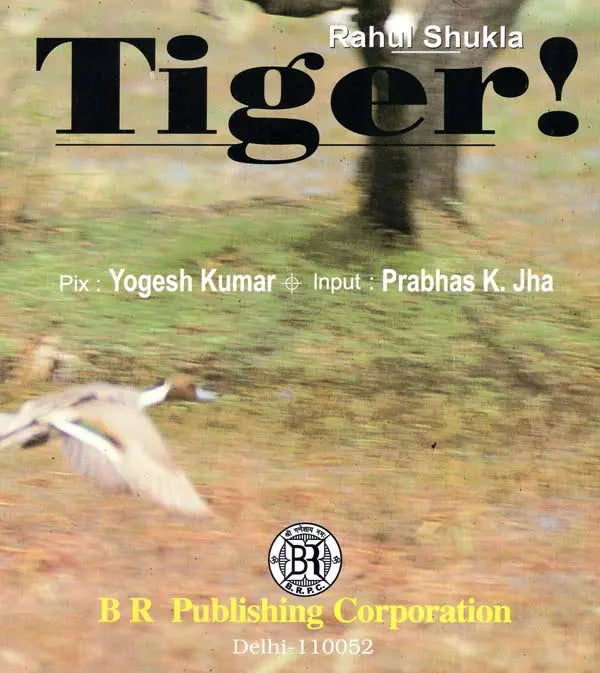 Tiger - Retail Maharaj