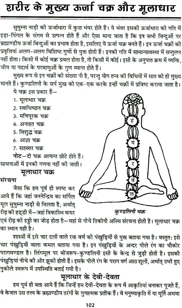 तंत्र सिंधु: Ocean of Tantra by Aughadanath - Retail Maharaj