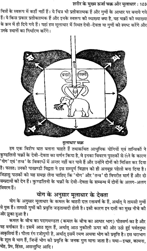 तंत्र सिंधु: Ocean of Tantra by Aughadanath - Retail Maharaj