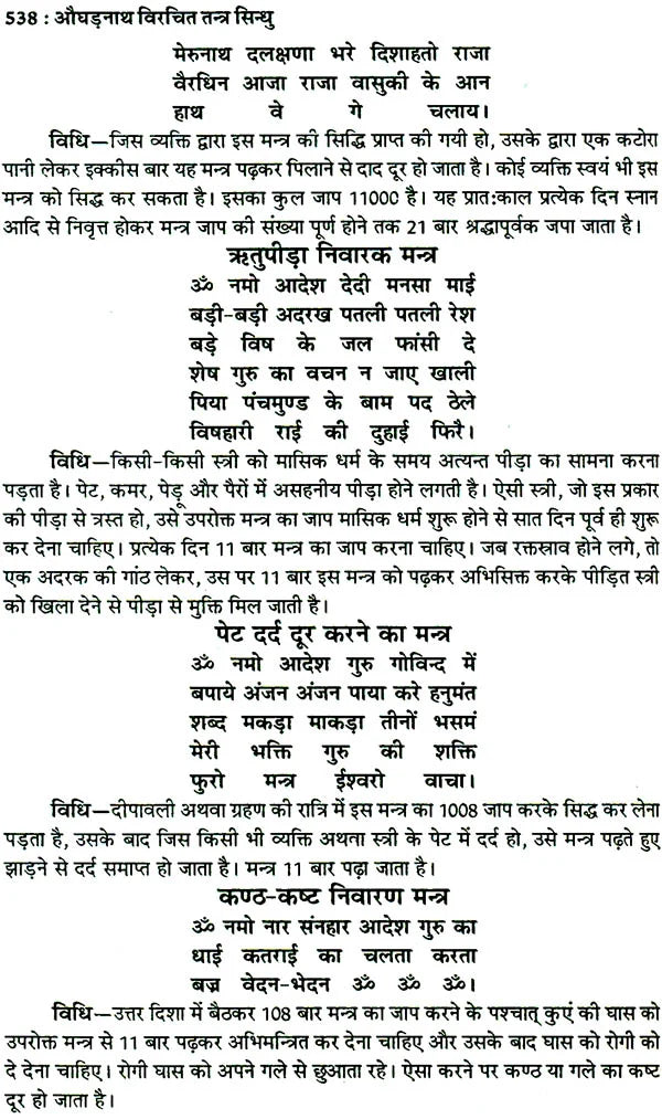तंत्र सिंधु: Ocean of Tantra by Aughadanath - Retail Maharaj