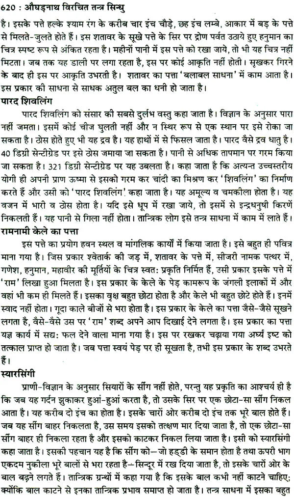 तंत्र सिंधु: Ocean of Tantra by Aughadanath - Retail Maharaj