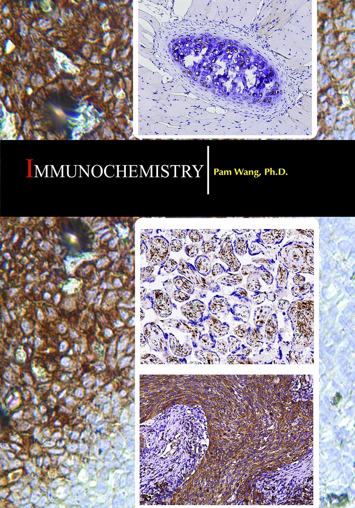 Immunochemistry - Retail Maharaj