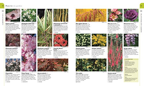 RHS What Plant Where Encyclopedia - Retail Maharaj