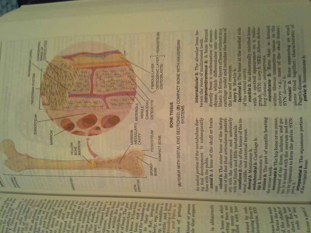 Taber's Cyclopedic Medical Dictionary - Retail Maharaj