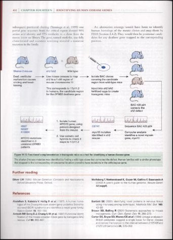 Human Molecular Genetics - Retail Maharaj