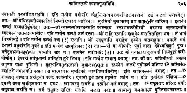 वर्षकृत्य: Varsha Kritya (Set of 2 Volumes) - Retail Maharaj