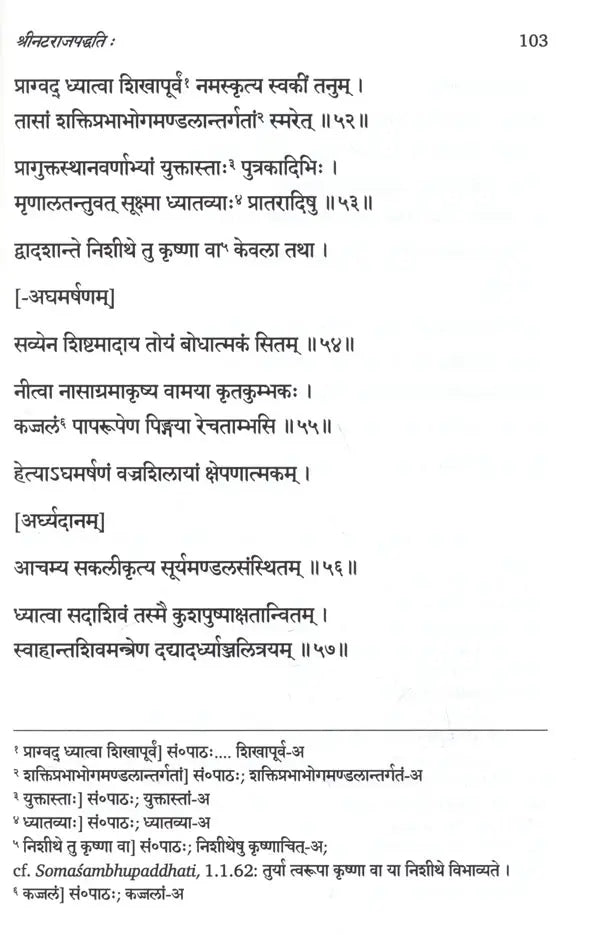 Natarajapaddhati of Ramanathasiva – A First Critical Edition of the Earliest Saivapaddha Composed in the Tamil Country (Vol. 1, Nityavidhi) - Retail Maharaj