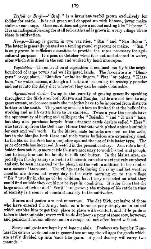 The Sikhs - An Ethnology (Revised at the Request of the Government of India)