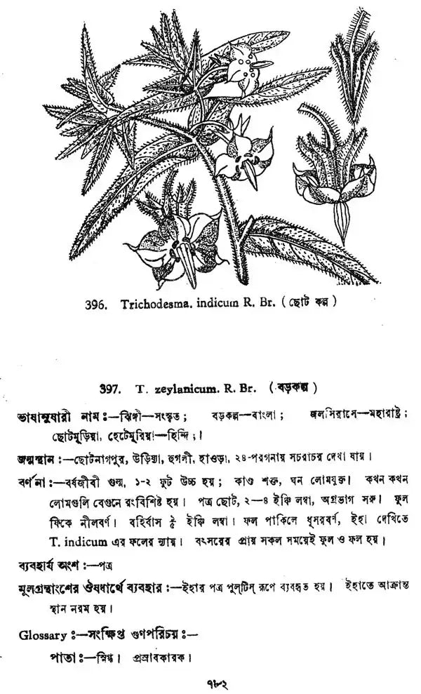 ভারতীয় বনৌষধি (সচিত্র): Indian Herbal Medicine Illustrated (Set of 6 Volumes)