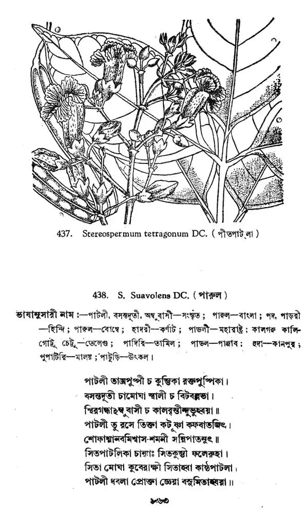 ভারতীয় বনৌষধি (সচিত্র): Indian Herbal Medicine Illustrated (Set of 6 Volumes)