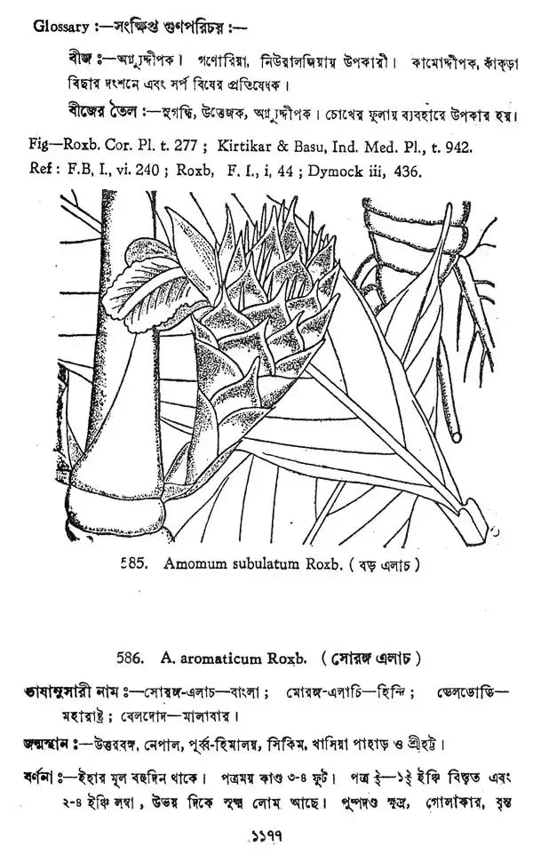 ভারতীয় বনৌষধি (সচিত্র): Indian Herbal Medicine Illustrated (Set of 6 Volumes)