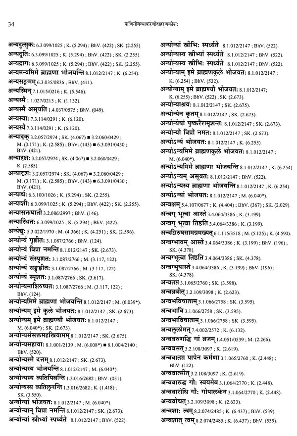 Paninian Grammar Through its Examples- Vol- I (The Book of Examples: 40,000 Entries for a Text) - Retail Maharaj