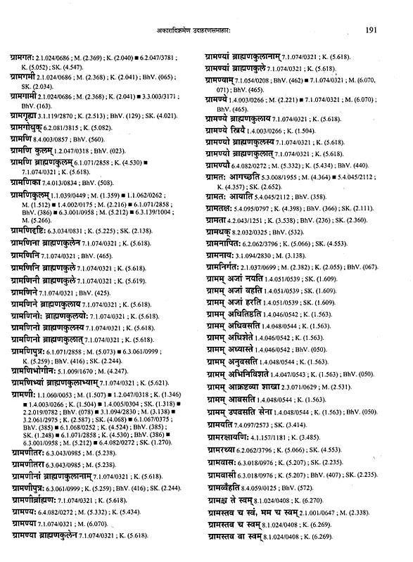 Paninian Grammar Through its Examples- Vol- I (The Book of Examples: 40,000 Entries for a Text) - Retail Maharaj