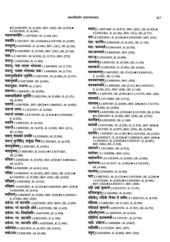 Paninian Grammar Through its Examples- Vol- I (The Book of Examples: 40,000 Entries for a Text) - Retail Maharaj