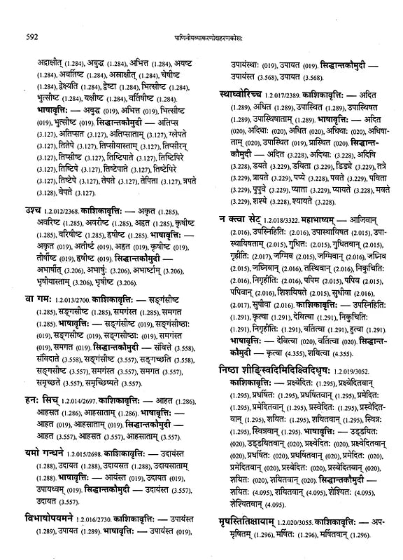 Paninian Grammar Through its Examples- Vol- I (The Book of Examples: 40,000 Entries for a Text) - Retail Maharaj