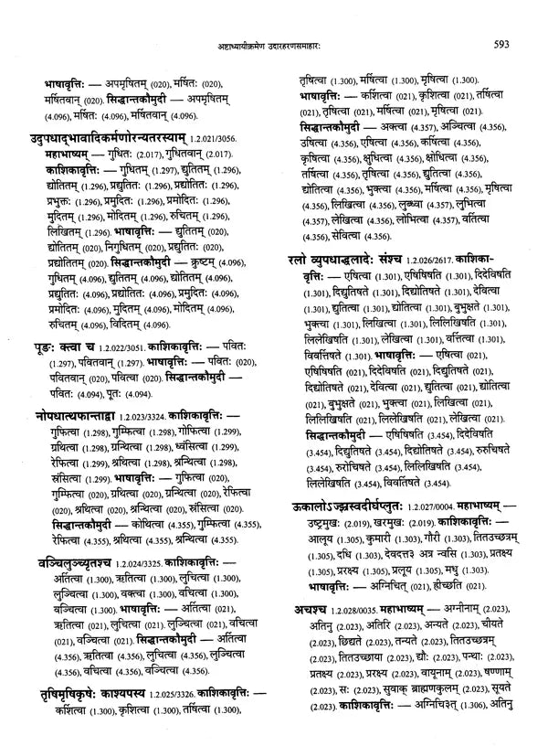 Paninian Grammar Through its Examples- Vol- I (The Book of Examples: 40,000 Entries for a Text) - Retail Maharaj