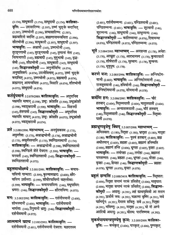 Paninian Grammar Through its Examples- Vol- I (The Book of Examples: 40,000 Entries for a Text) - Retail Maharaj