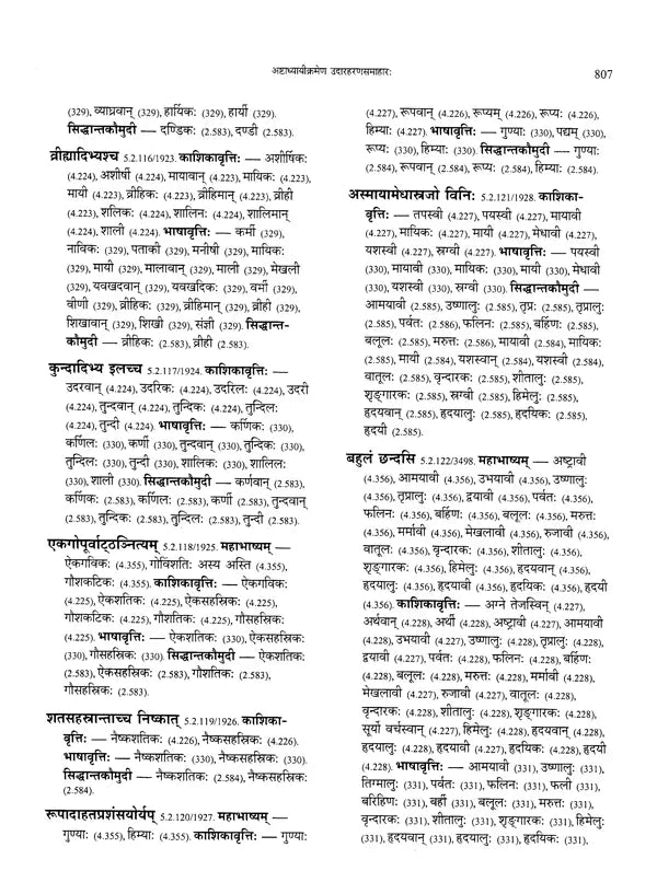 Paninian Grammar Through its Examples- Vol- I (The Book of Examples: 40,000 Entries for a Text) - Retail Maharaj