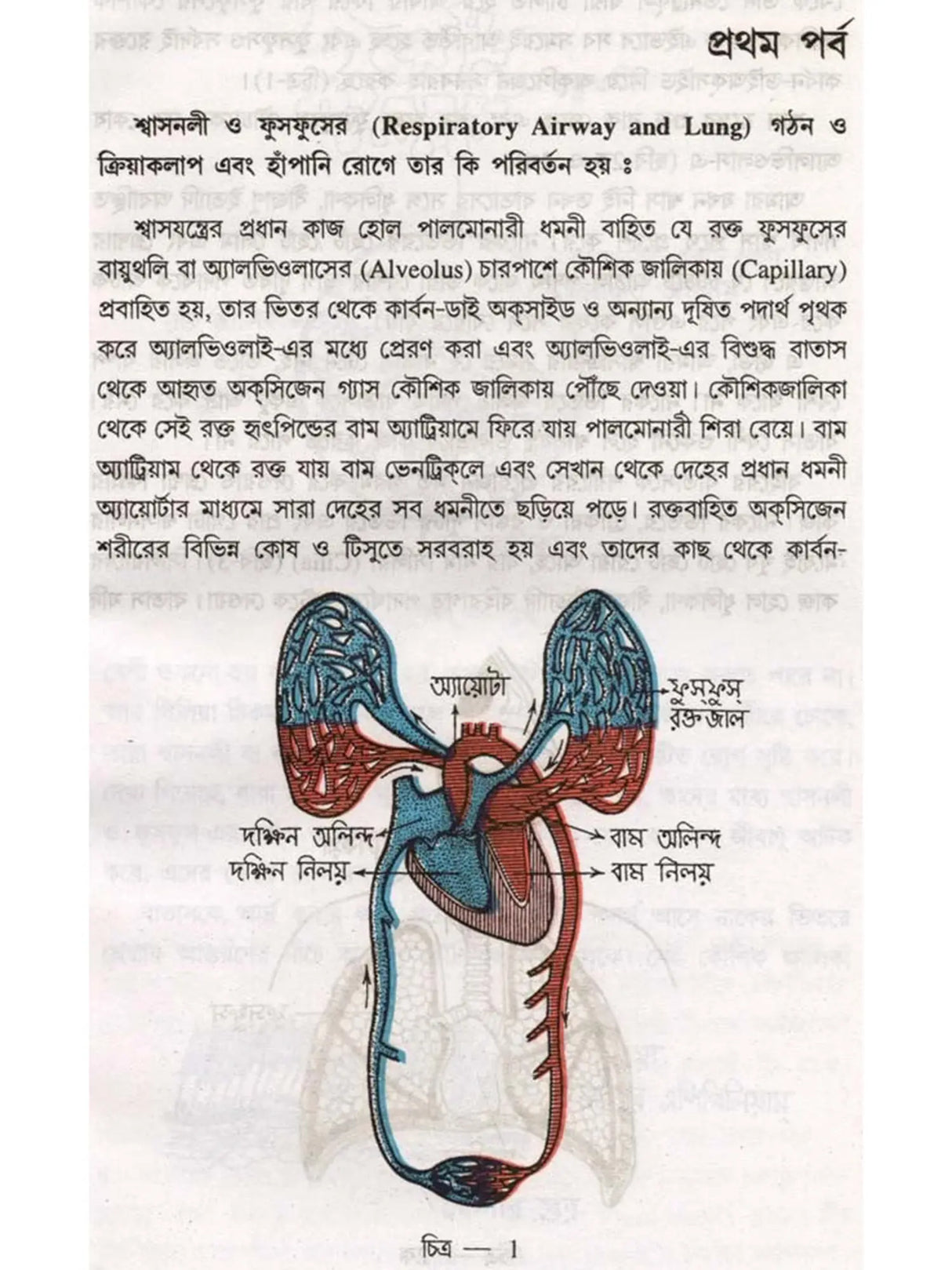 হাঁপানি রোগ (Hanpani Rog)