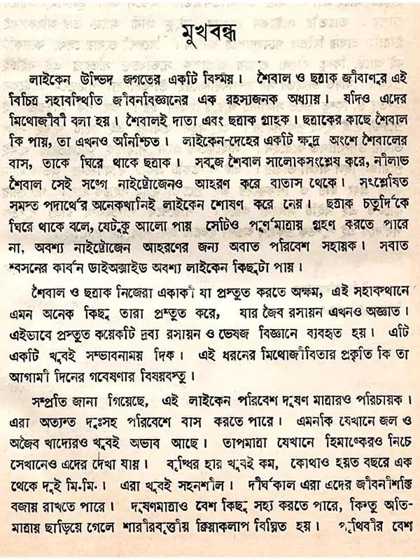 লাইকেন (Lichen)