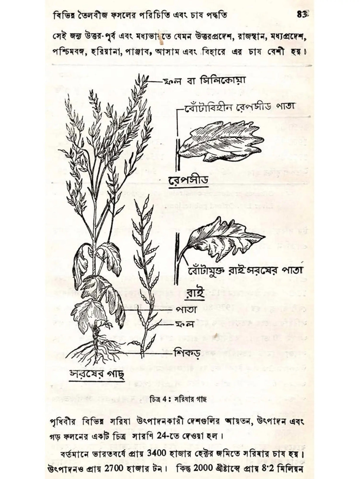উদ্ভিদজাত তেল ও স্নেহপদার্থ উৎপাদন ও ব্যবহার (Udvidjata Tel o Snehapadartha)