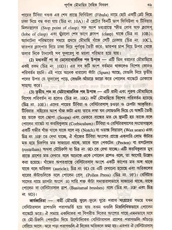 মধু মোম মৌমাছি (Madhu Mom Moumachhi)