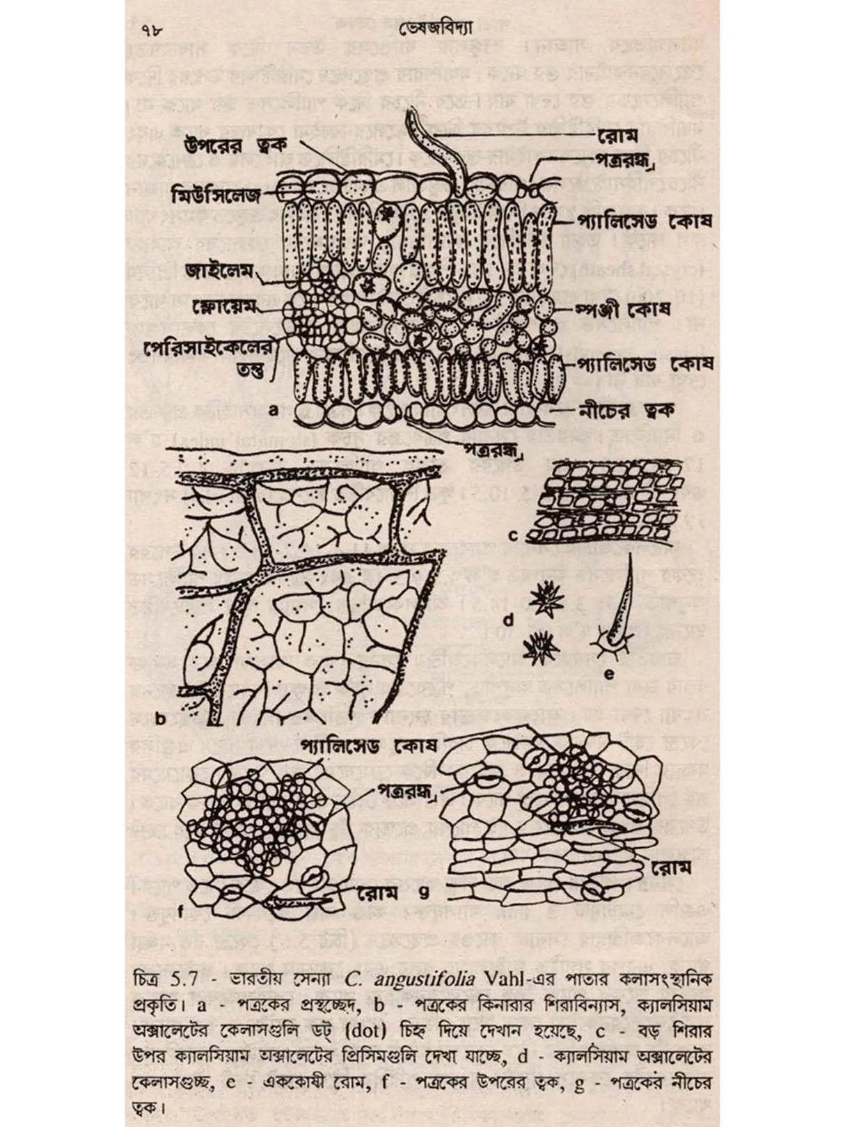 ভেষজবিদ্যা: Medicinal Plants (Bengali)