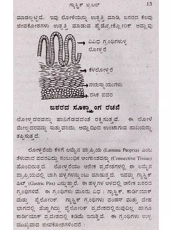 ಗ್ಯಾಸ್ಟಿಕ್ ಟ್ರಬಲ್ (ಹೊಟ್ಟೆಯಲ್ಲಿ ಅಲ್ಸರ್)- Gastric Trouble in Kannada (Stomach Ulcer) - Retail Maharaj