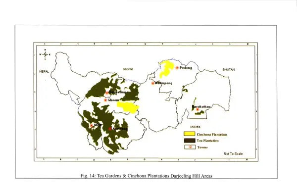 Darjeeling- The Queen of the Hills- Geo-Environmental Perception