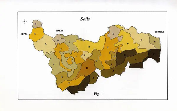 Cloud Stone and the Mind- The People and Environment of Darjeeling Hill Area