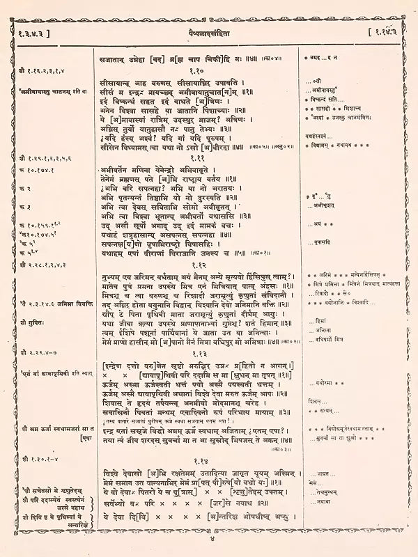 अथर्ववेदीया पैप्पलाद संहिता / Atharvaveda Paippalada Samhita (Sanskrit Only) - Retail Maharaj