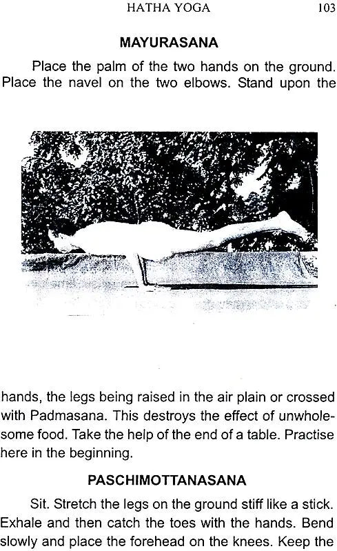 Yoga in Daily Life - Retail Maharaj