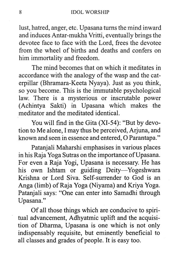 The Philosophy and Significance of Idol Worship - Retail Maharaj