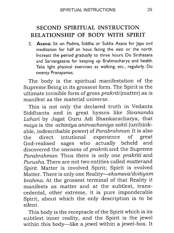 Twenty Important Spiritual Instructions: A Series of Talks Given on Gurudev's Twenty Important Spiritual Instructions - Retail Maharaj