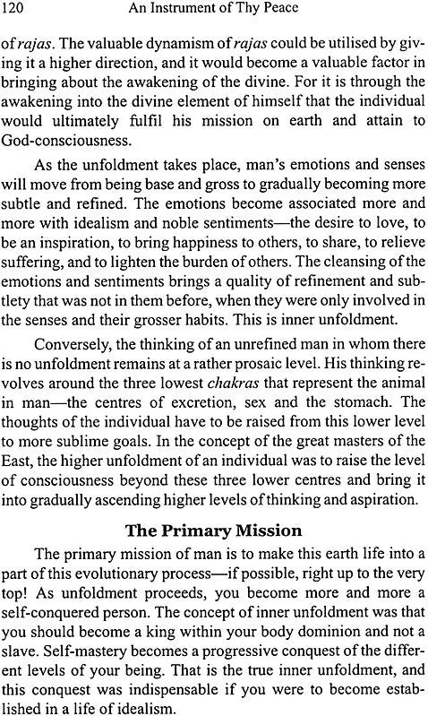 An Instrument of Thy Peace: Swami Chidananda in the West - Retail Maharaj