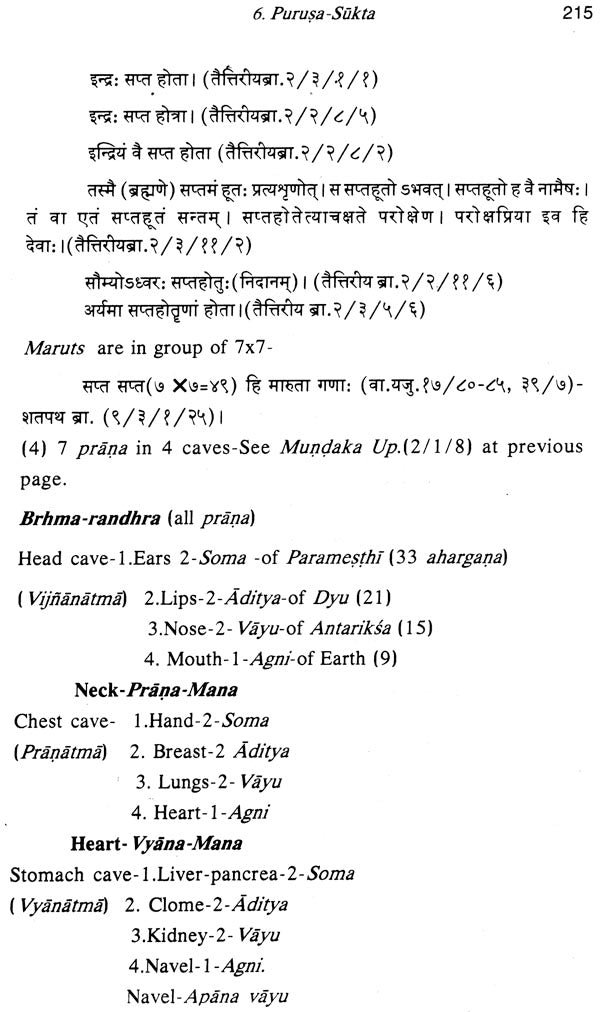 Vedic View of Sri Jagannatha - Retail Maharaj