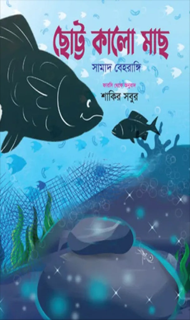Chotto Kalo Mach (ছোট্ট কালো মাছ)