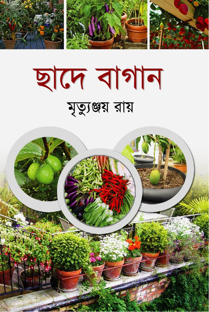 Chade Bagan (ছাদে বাগান)
