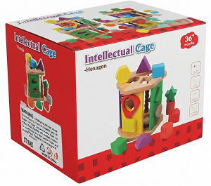 Intellectual Cage