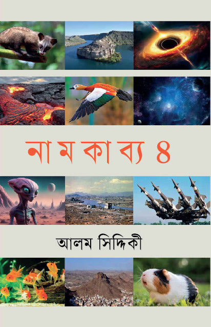 Namakabya 4 (নামকাব্য ৪)
