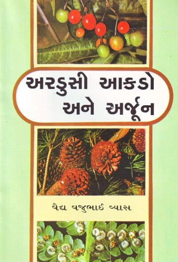 Ardusi Aakado Ane Arjun - Retail Maharaj