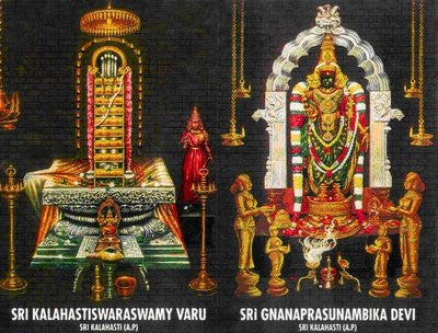 Rahu Ketu Dosha Parihara Pooja at Sri Kalahasti Temple by Retail Maharaj - Retail Maharaj